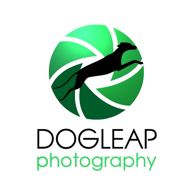 Dogleap-Photography
